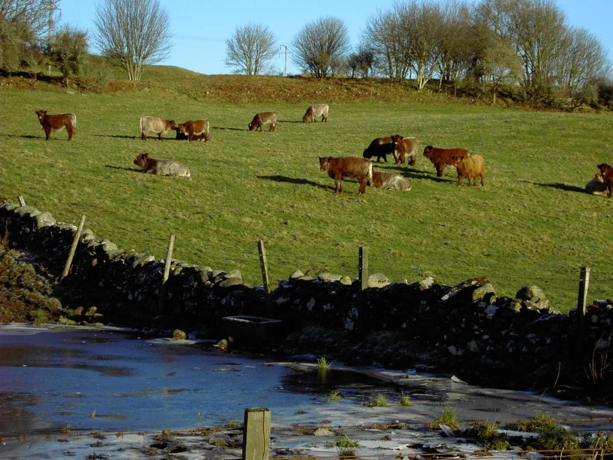 Nest Holiday Home Central Callander, Trossachs Self-Catering Екстер'єр фото